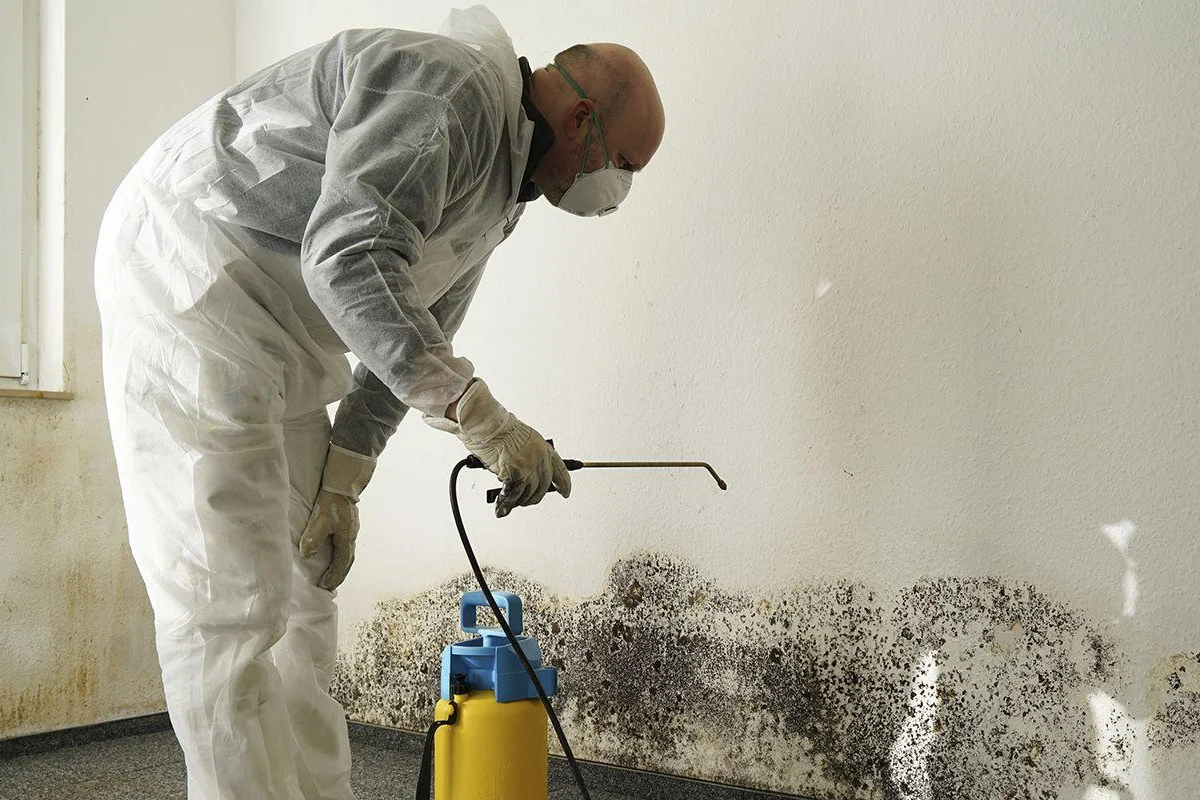 mold-cleaning